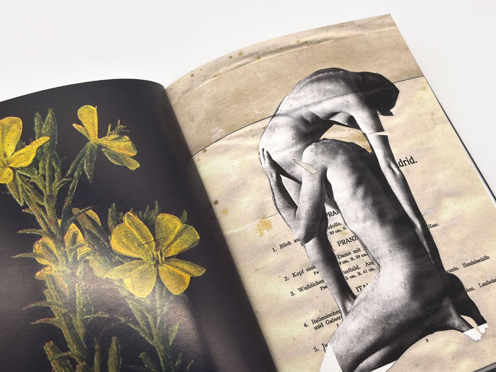 Wild Flowers by James Gallagher - Tipi bookshop