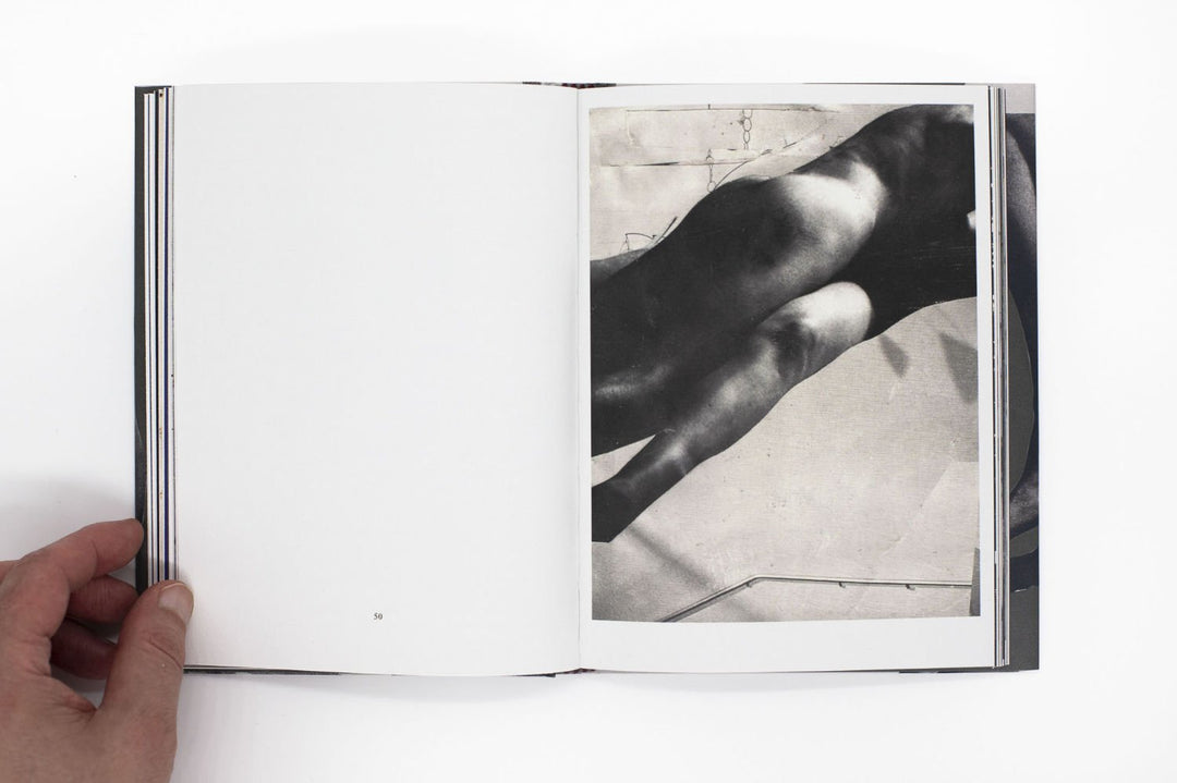 Wild Flowers by James Gallagher - Tipi bookshop