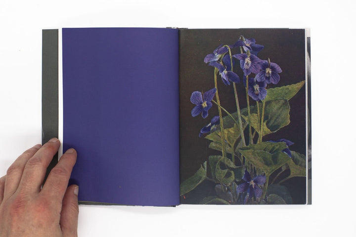Wild Flowers by James Gallagher - Tipi bookshop