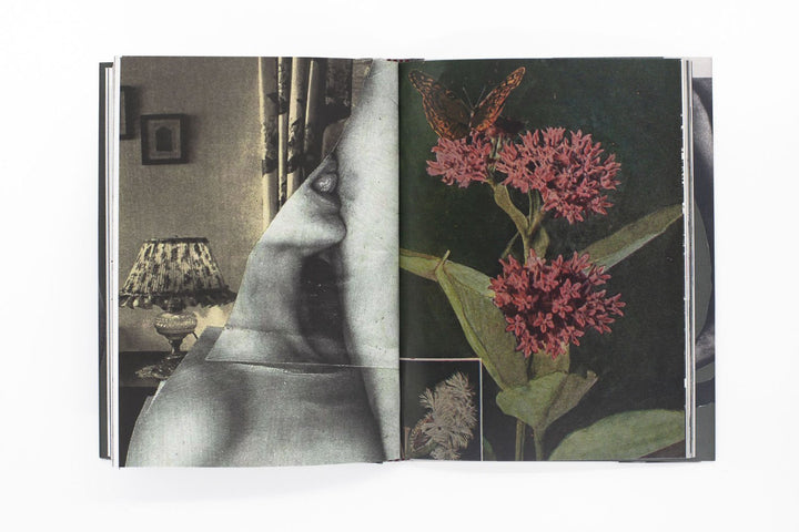 Wild Flowers by James Gallagher - Tipi bookshop