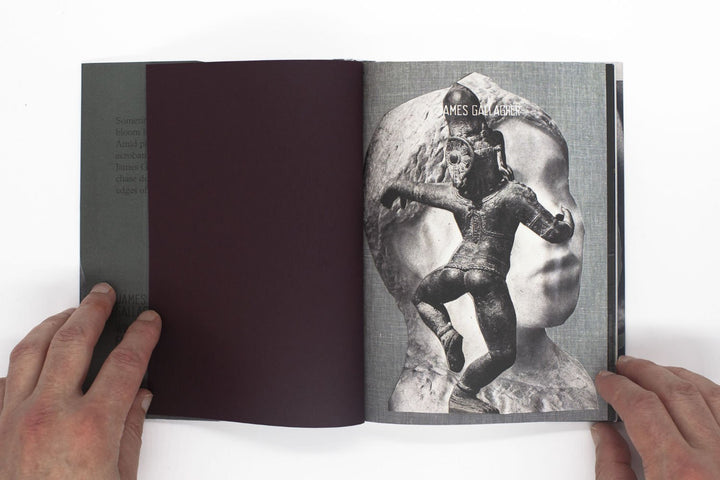 Wild Flowers by James Gallagher - Tipi bookshop