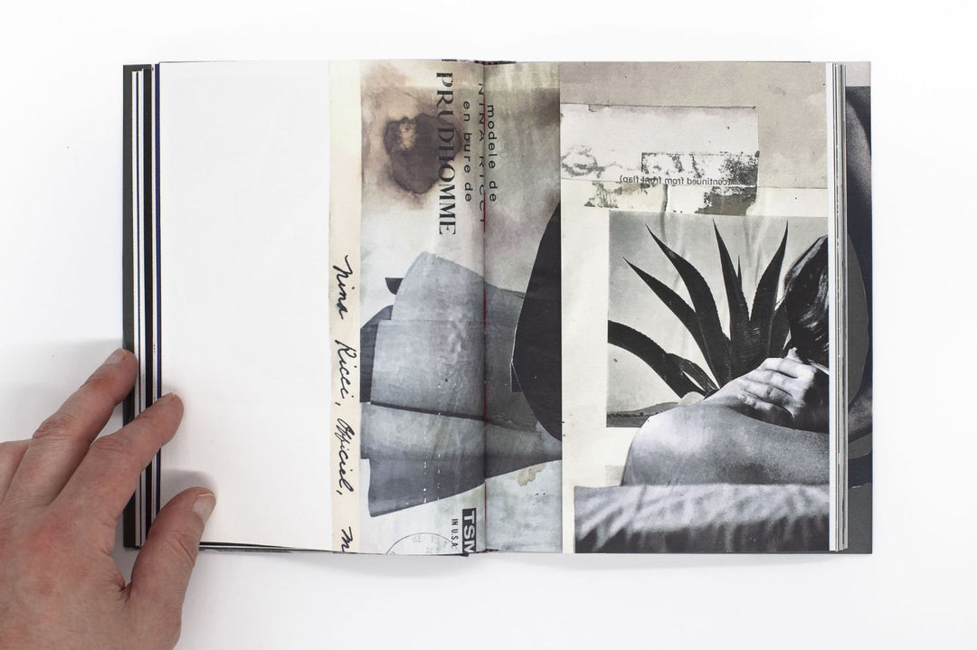 Wild Flowers by James Gallagher - Tipi bookshop