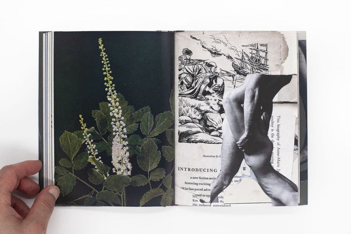 Wild Flowers by James Gallagher - Tipi bookshop