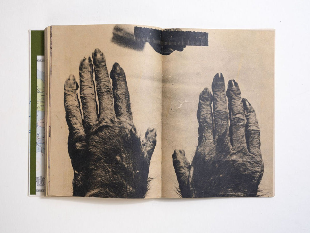 Wildman Fever by Ruben Lundgren - Tipi bookshop