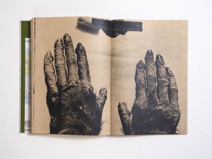 Wildman Fever by Ruben Lundgren - Tipi bookshop