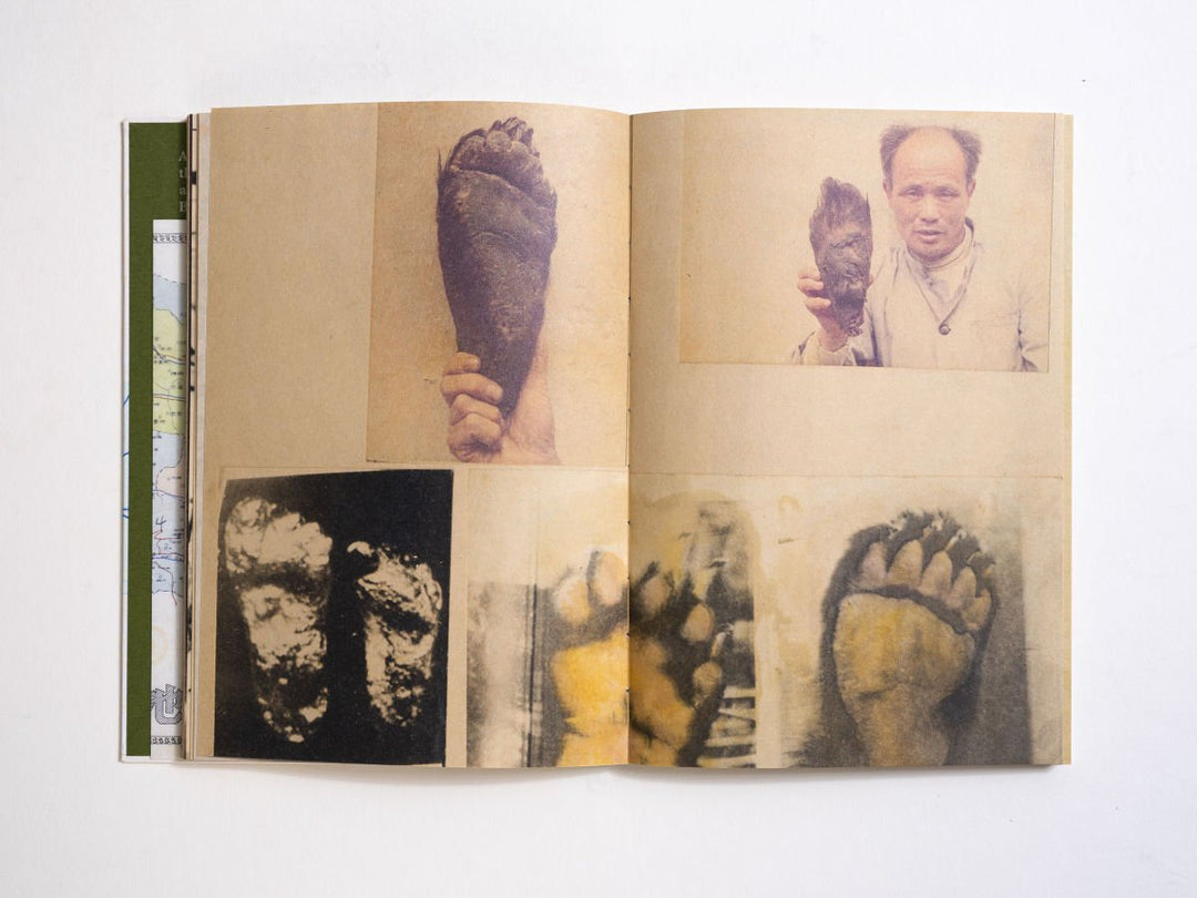 Wildman Fever by Ruben Lundgren - Tipi bookshop