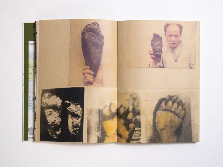 Wildman Fever by Ruben Lundgren - Tipi bookshop