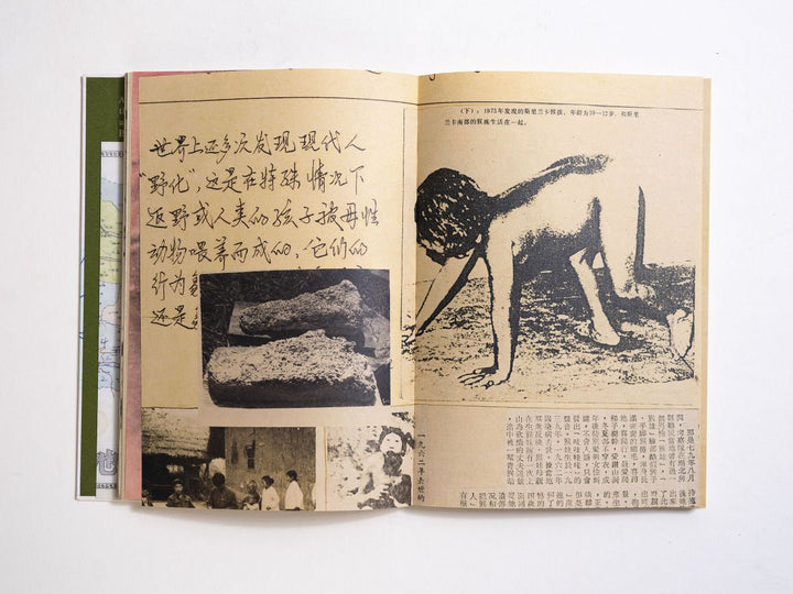 Wildman Fever by Ruben Lundgren - Tipi bookshop