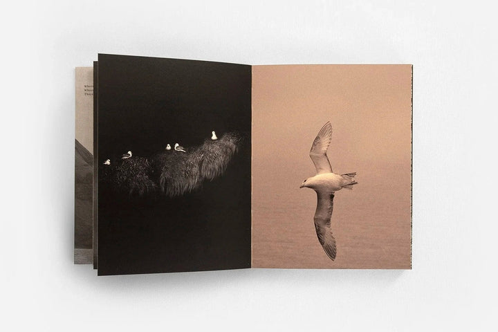 Wool, Wind and Waves by Eva Chupikova - Tipi bookshop