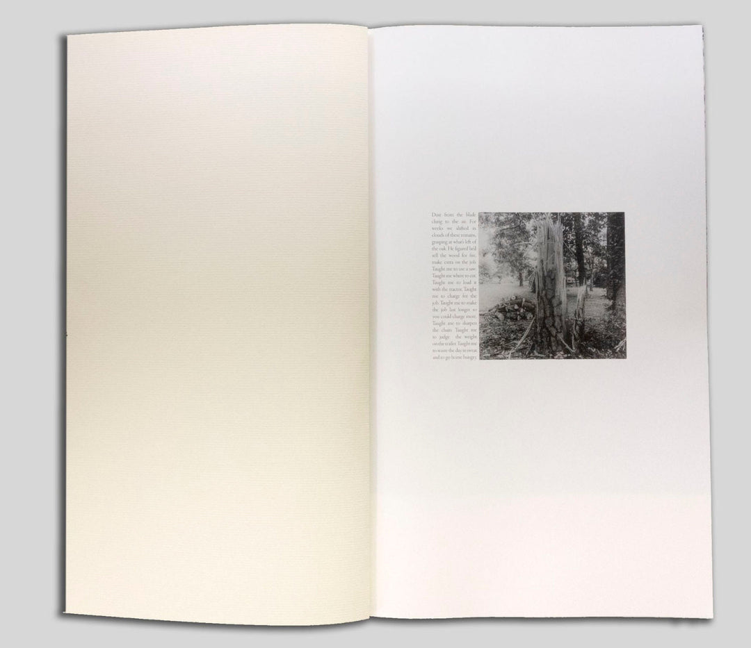 Yellow Pine by Harrison Miller - Tipi bookshop