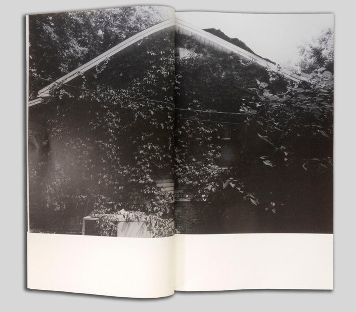 Yellow Pine by Harrison Miller - Tipi bookshop