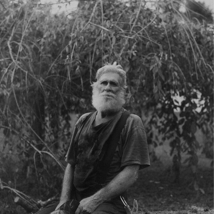 Yellow Pine by Harrison Miller - Tipi bookshop