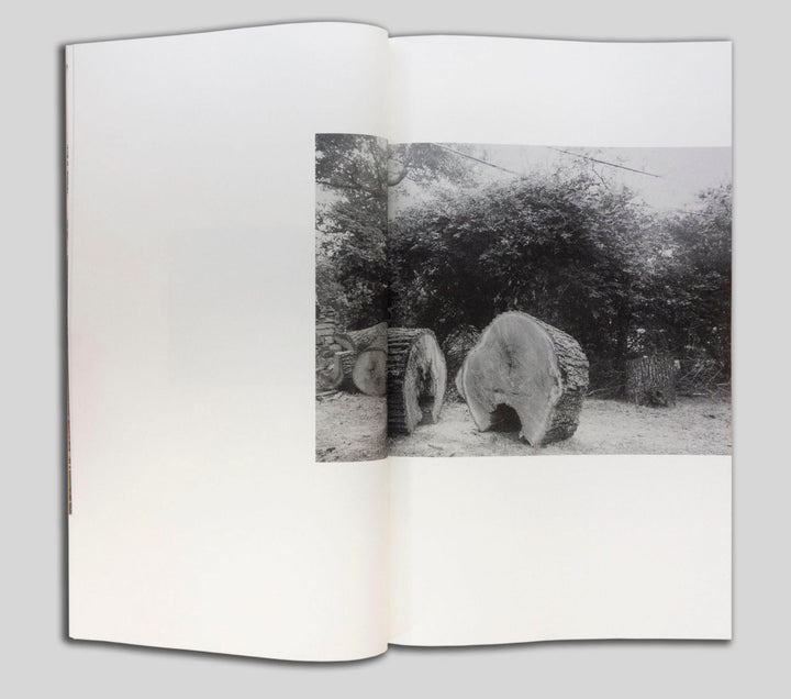 Yellow Pine by Harrison Miller - Tipi bookshop