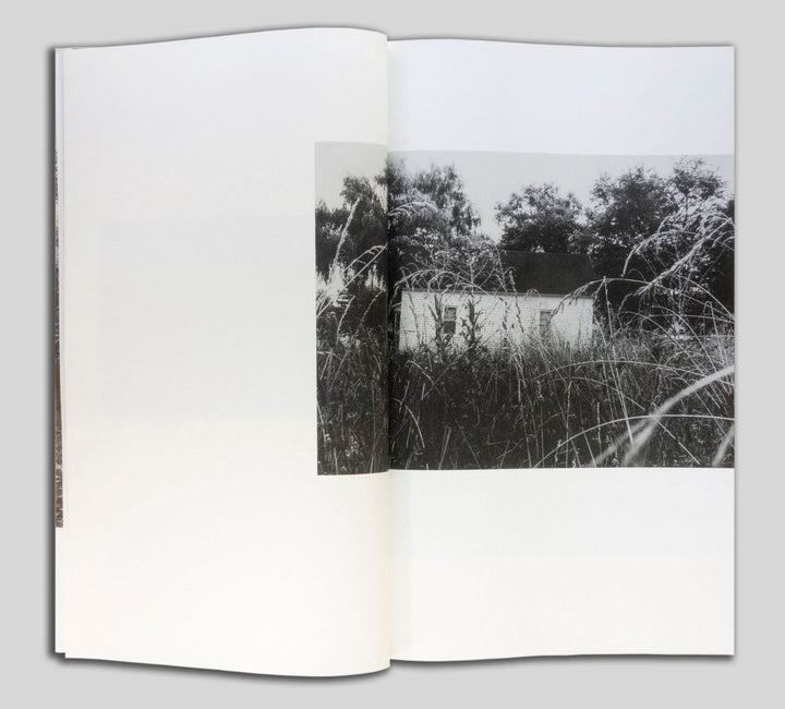 Yellow Pine by Harrison Miller - Tipi bookshop
