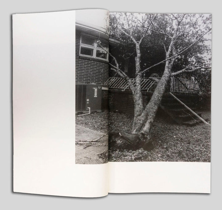 Yellow Pine by Harrison Miller - Tipi bookshop