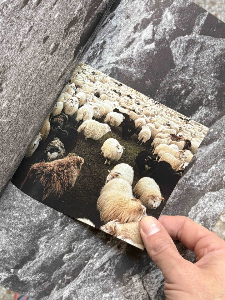 Yzta Annesið by Jon Helgi Palmason - Tipi bookshop