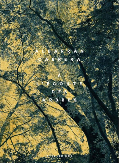 A l’écoute des arbres d' Albarrán Cabrera - Tipi bookshop