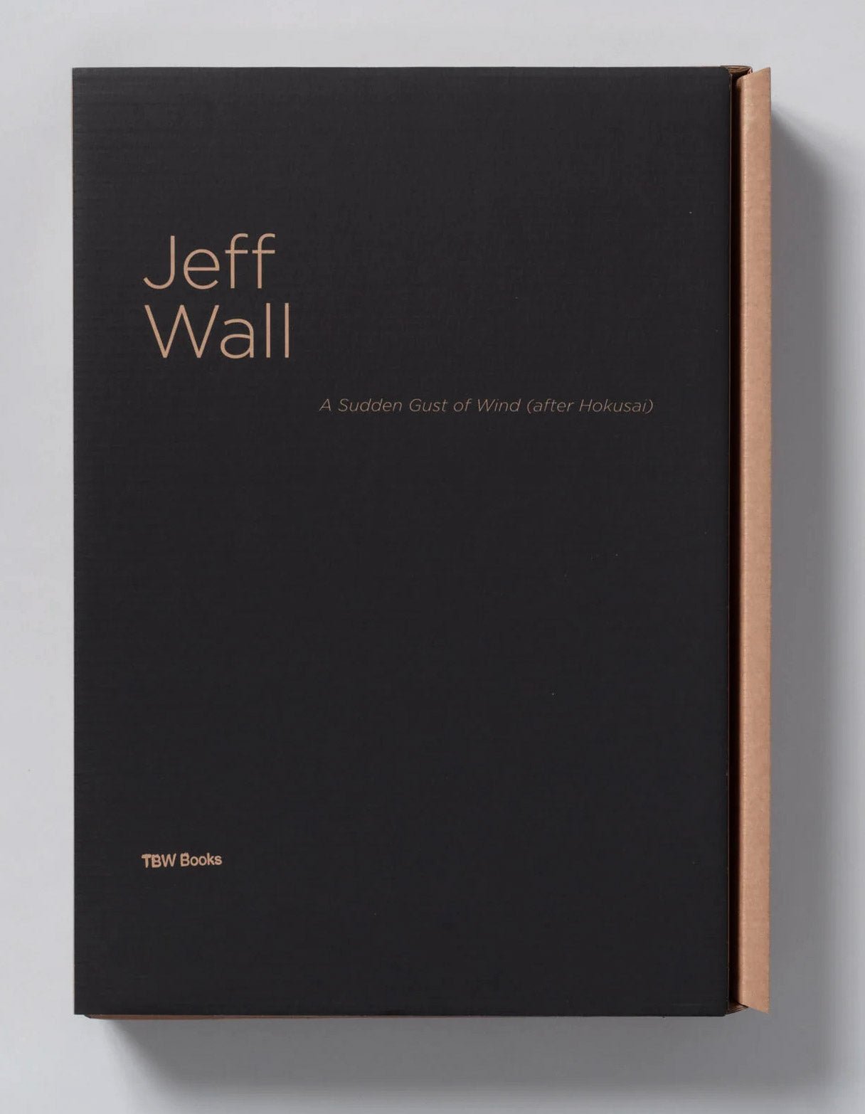 A Sudden Gust Of Wind (After Hokusai) by by Jeff Wall - Tipi bookshop