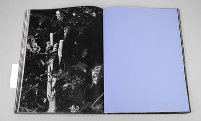 ANK, Another Kind of Need by Marijn Bax - Tipi bookshop