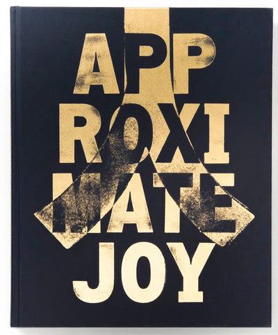 Approximate Joy by Christopher Anderson 2nd Printing - Tipi bookshop