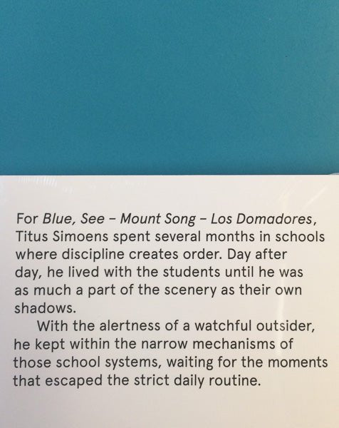 BLUE, SEE - MOUNT SONG - LOS DOMADORES by Titus Simoens - Tipi bookshop