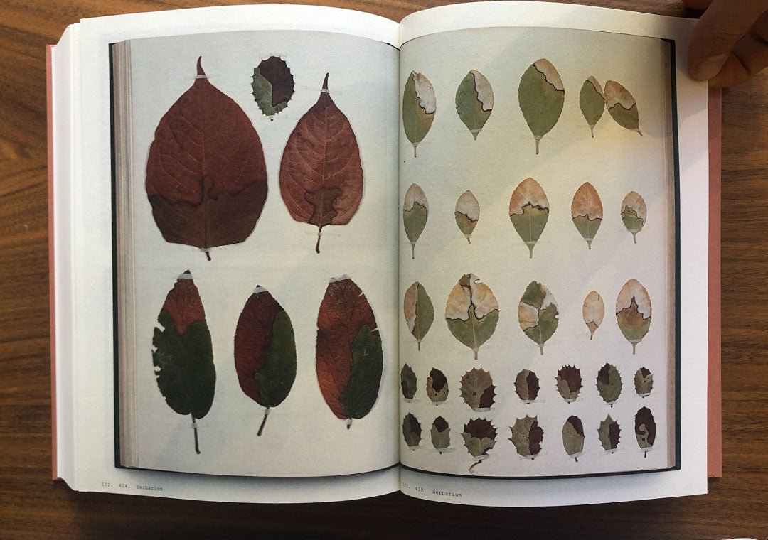 Book of plants by Anne Geene - Tipi bookshop