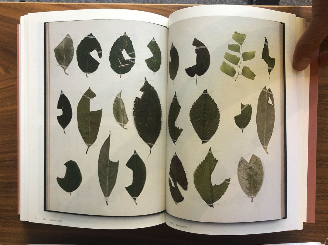Book of plants by Anne Geene - Tipi bookshop