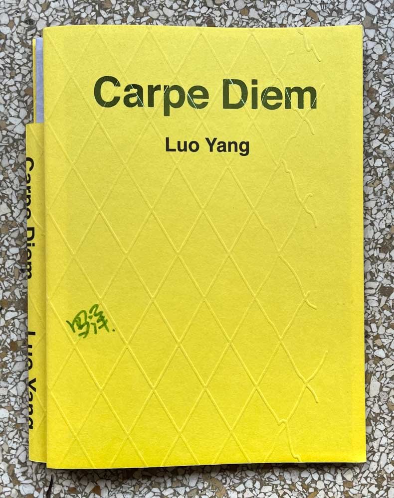 Carpe Diem By Luo Yang - Tipi bookshop
