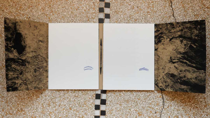 Ce débris dont rien n’est venu à bout by Alix Dussart - Edition speciale B3 - Tipi bookshop
