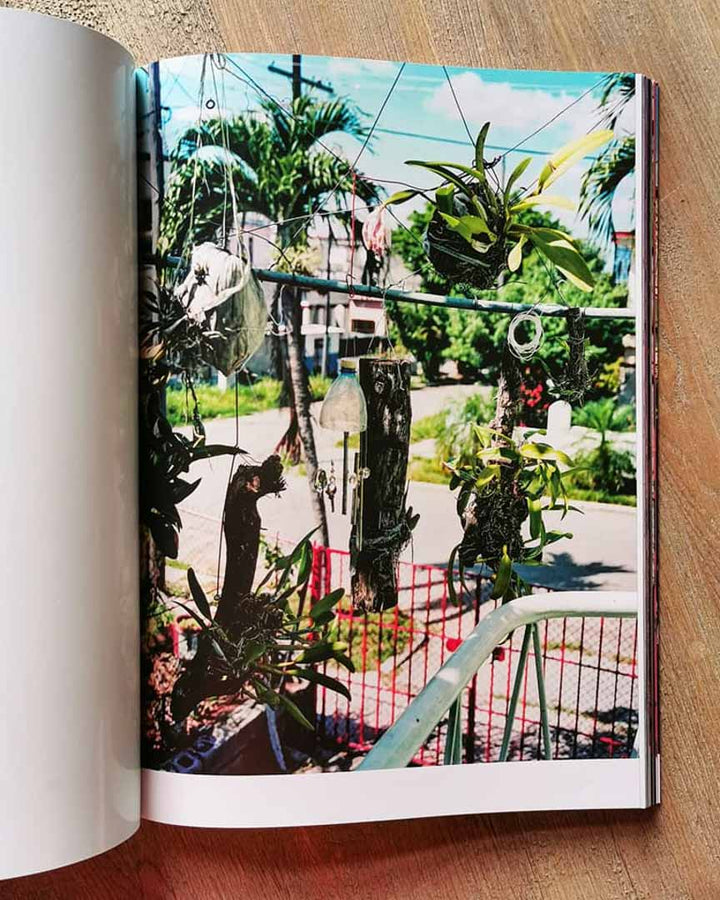 Champú by Vincent Delbrouck - Tipi bookshop