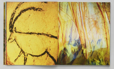 Chauvet by Philippe Durand - Tipi bookshop