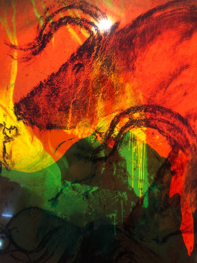 Chauvet by Philippe Durand - Tipi bookshop