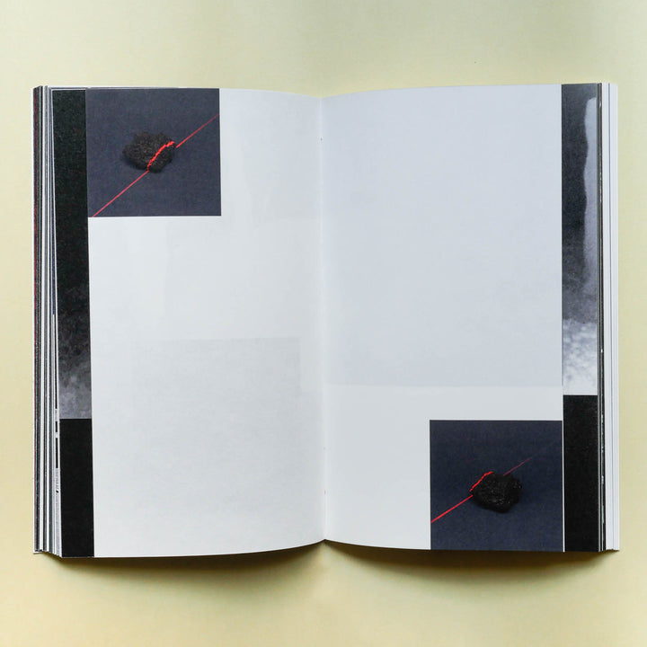 Ciucciuí by Priscilla Pallante - Tipi bookshop