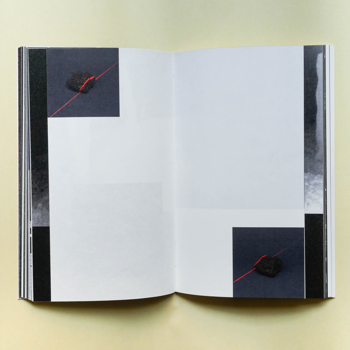 Ciucciuí by Priscilla Pallante - Tipi bookshop