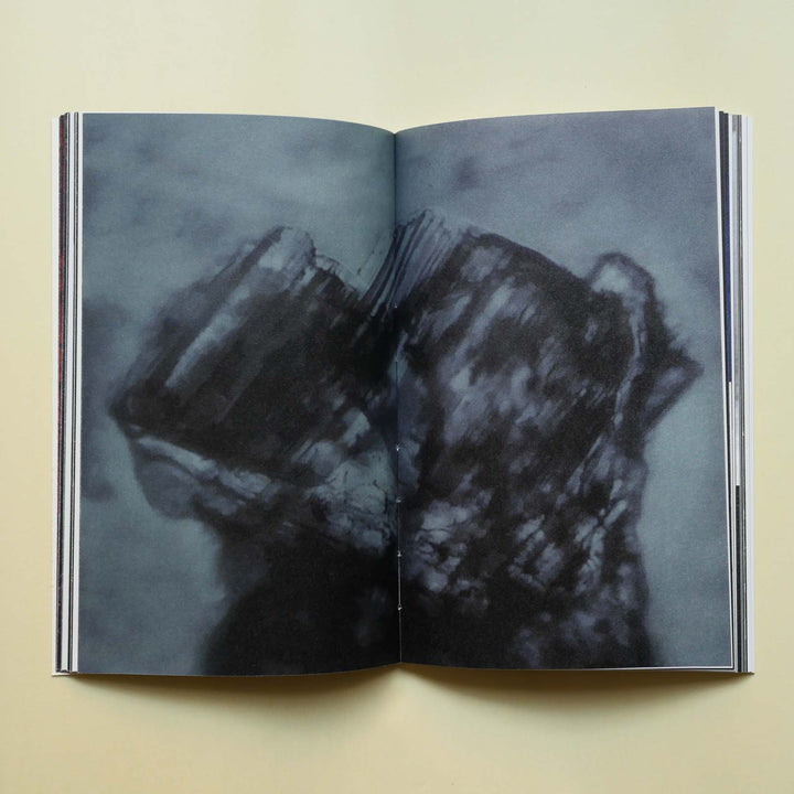 Ciucciuí by Priscilla Pallante - Tipi bookshop