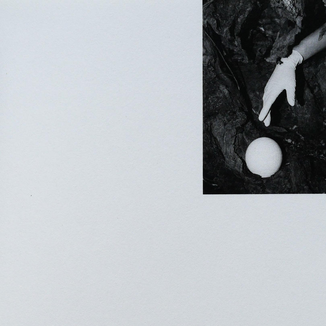 Ciucciuí by Priscilla Pallante - Tipi bookshop