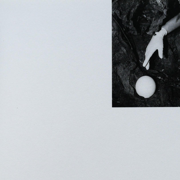 Ciucciuí by Priscilla Pallante - Tipi bookshop