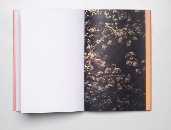 CONTRE-JOUR by Josée Pedneault - Tipi bookshop