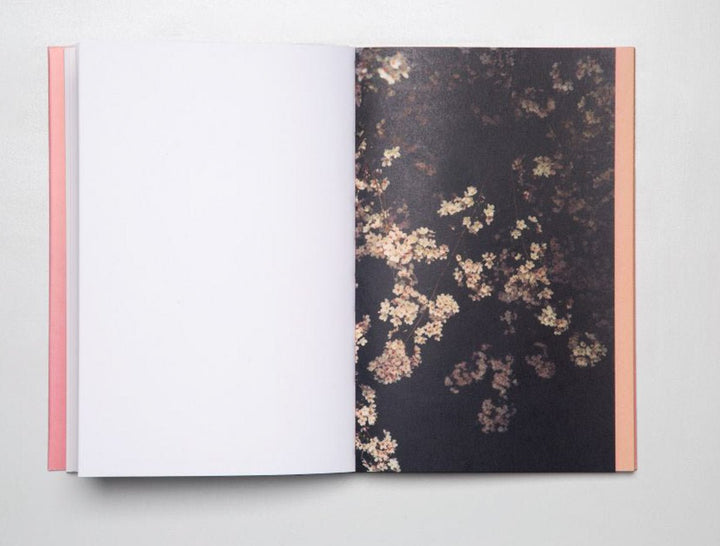 CONTRE-JOUR by Josée Pedneault - Tipi bookshop