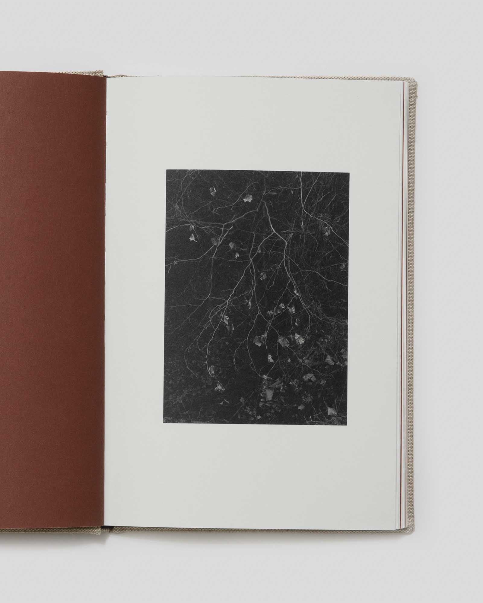 County Road by Bryan Schutmaat at the Tipi bookshop