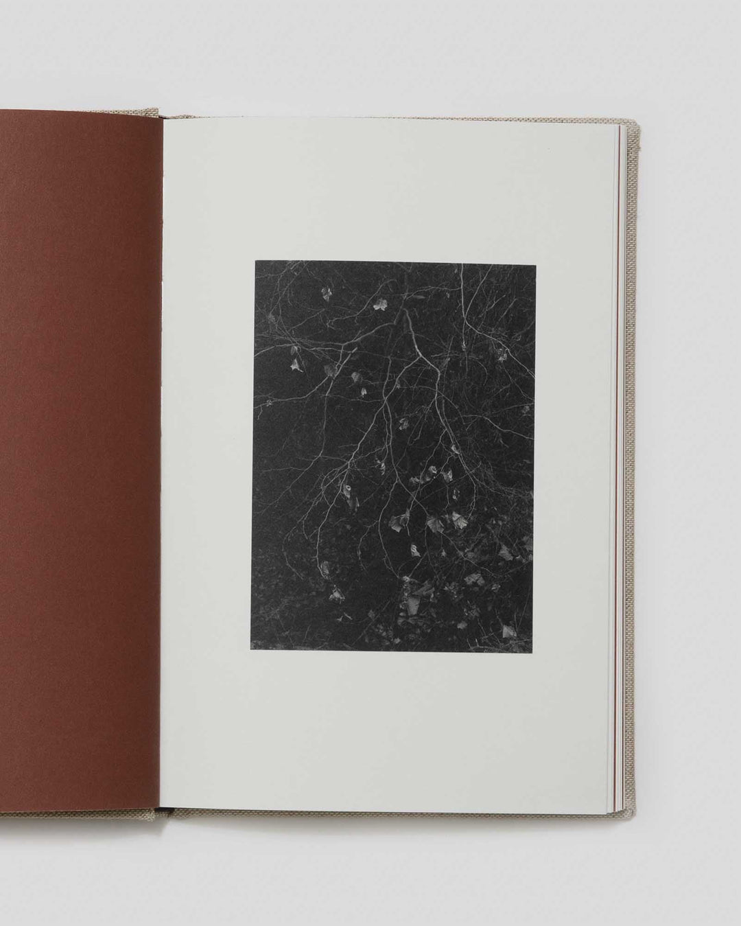 County Road by Bryan Schutmaat - Tipi bookshop