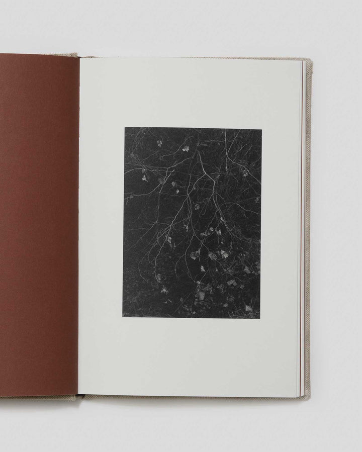 County Road by Bryan Schutmaat - Tipi bookshop