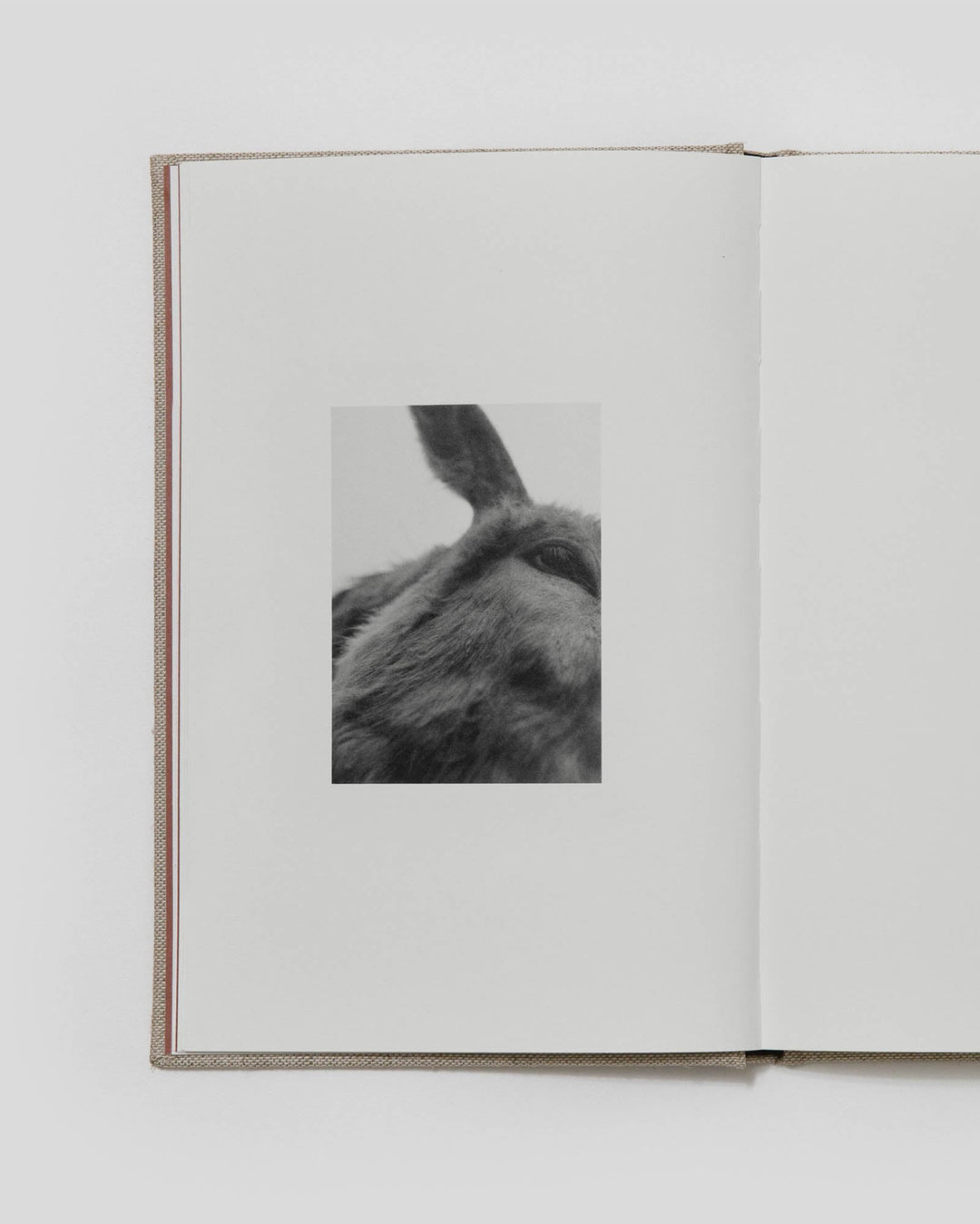 County Road by Bryan Schutmaat - Tipi bookshop