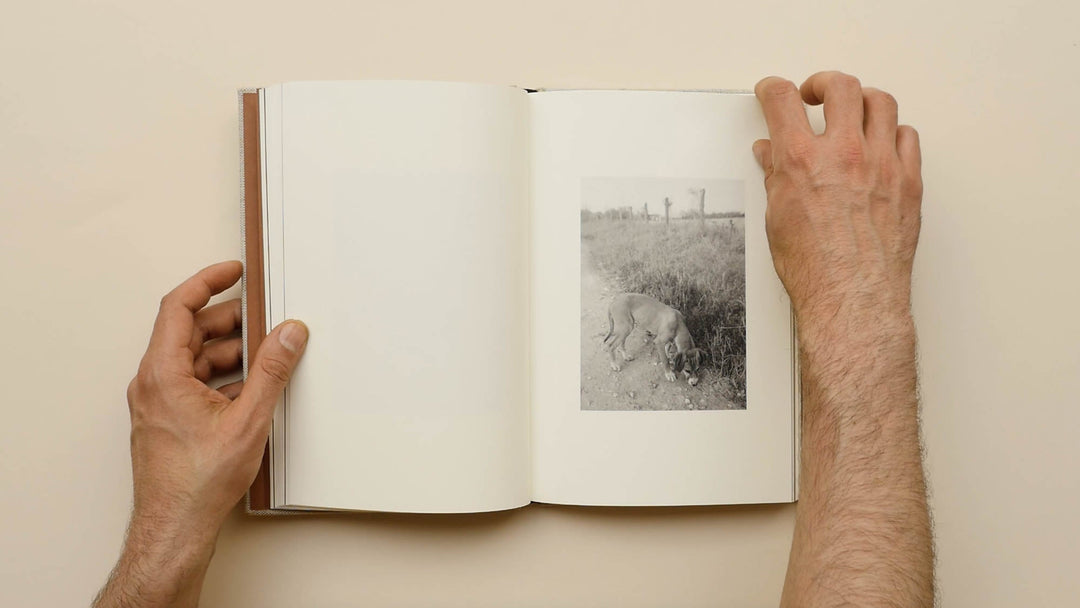 County Road by Bryan Schutmaat - Tipi bookshop