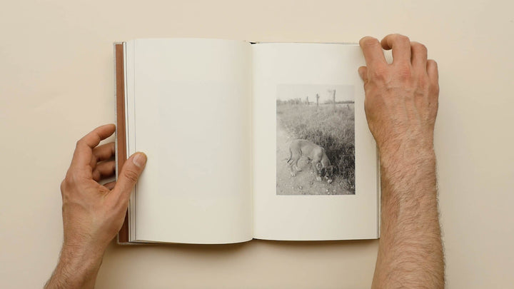 County Road by Bryan Schutmaat - Tipi bookshop