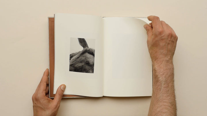 County Road by Bryan Schutmaat - Tipi bookshop