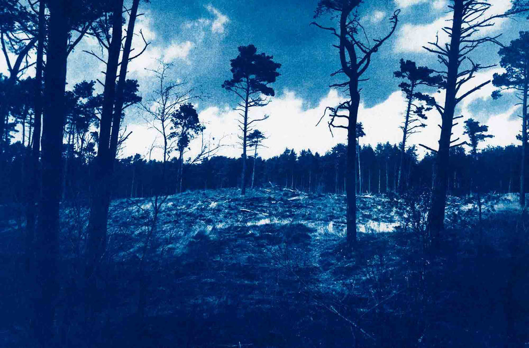 Depravity's Rainbow by Lewis Bush - Tipi bookshop