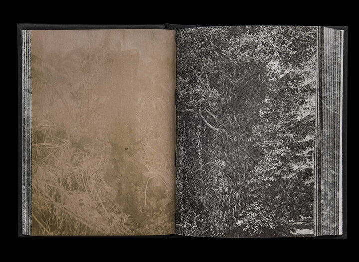 Dirty by Wysocka Magdalena - Tipi bookshop