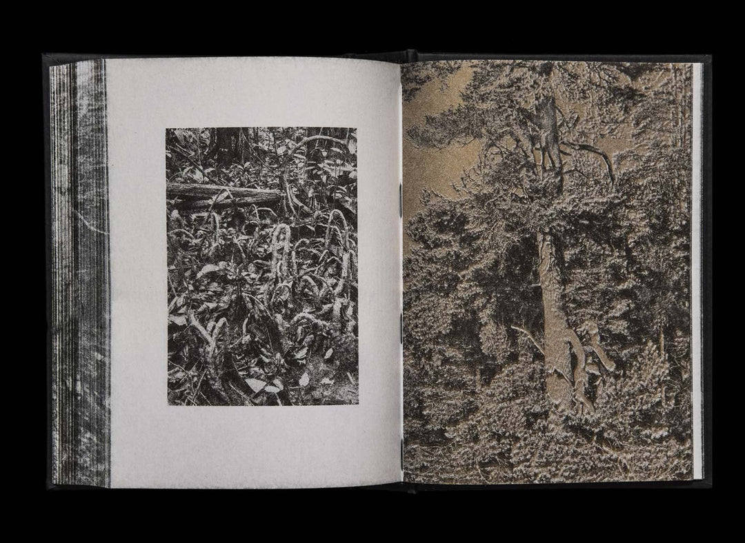 Dirty by Wysocka Magdalena - Tipi bookshop