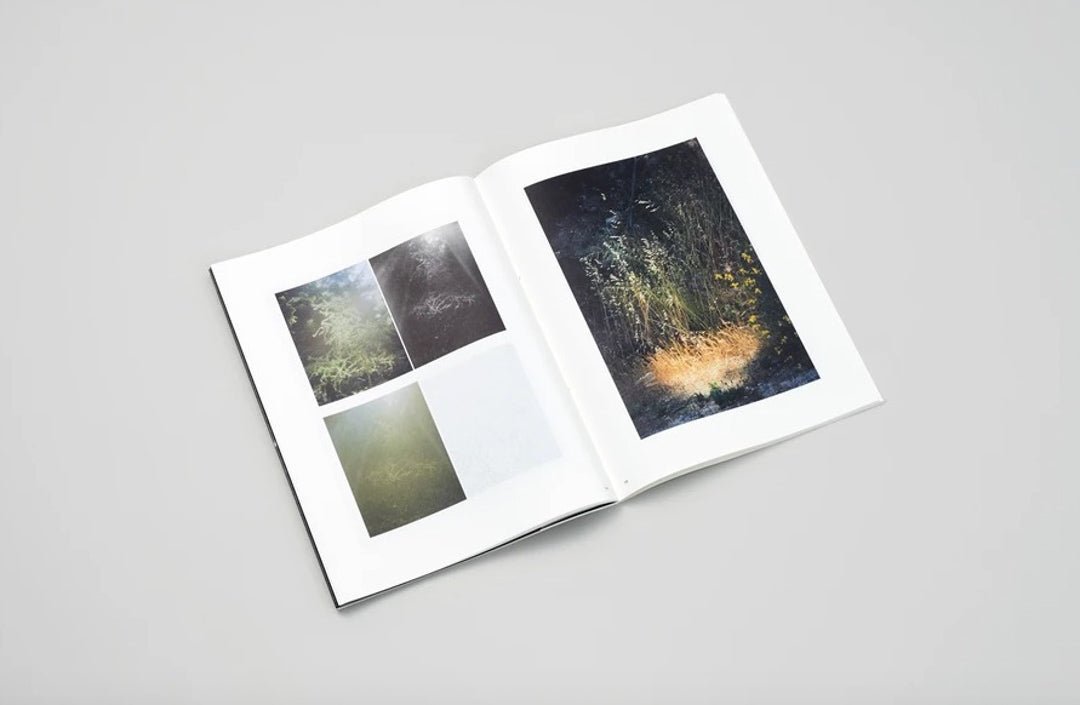 Ex nihilo by Daniel Shea - Tipi bookshop